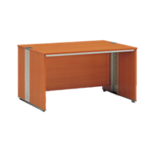 SS-STANDARD DESK